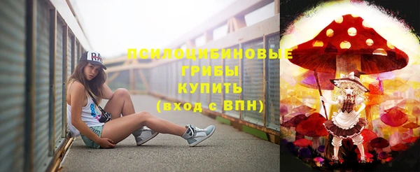 шишки Алзамай