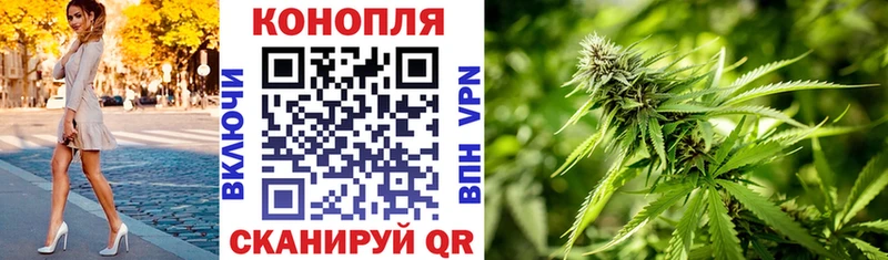 наркошоп  Михайловск  МАРИХУАНА VHQ 